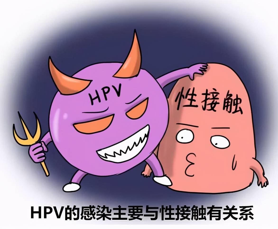 男性hpv感染是怎么回事